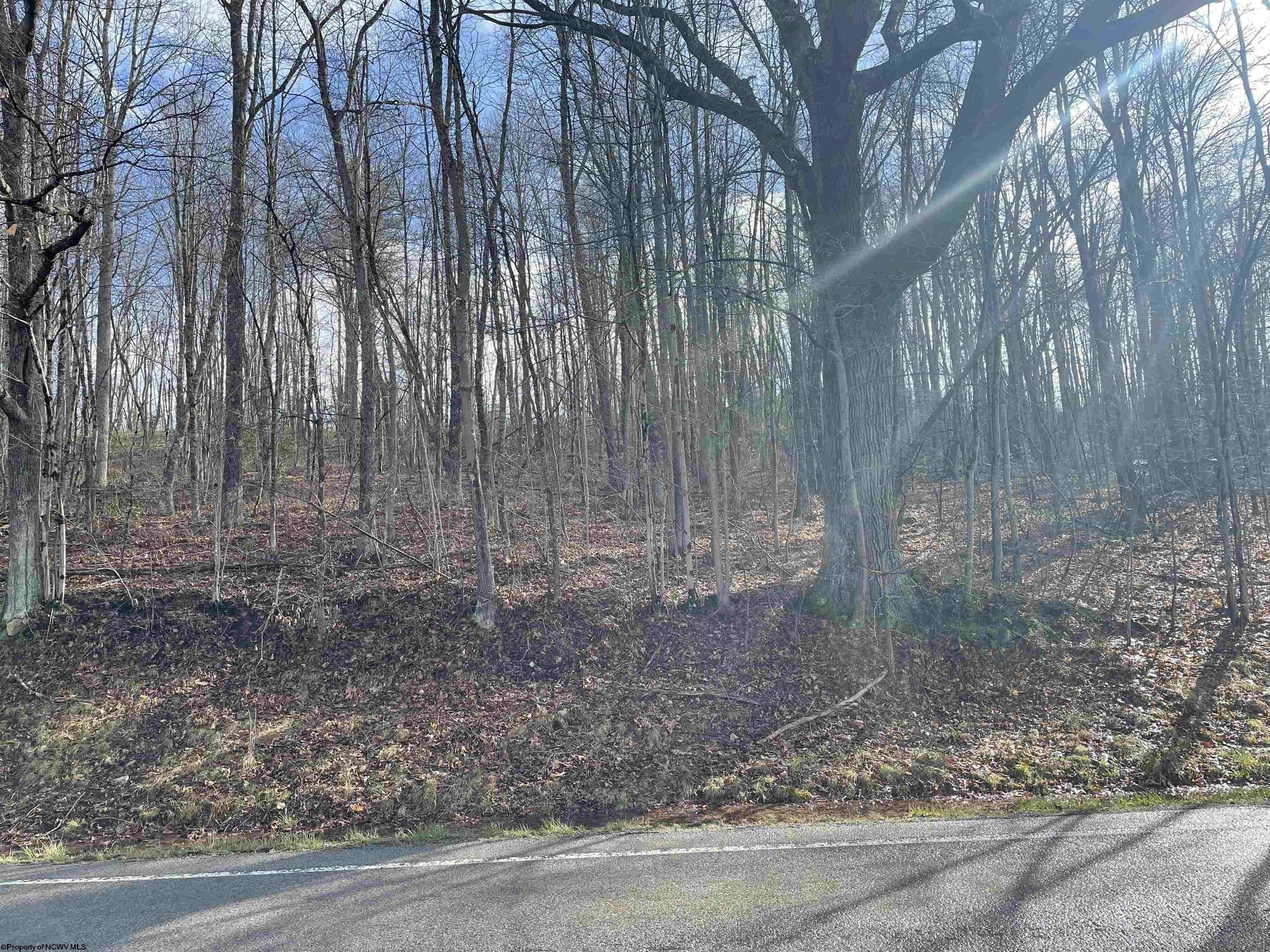 4 acres in Upshur County, West Virginia