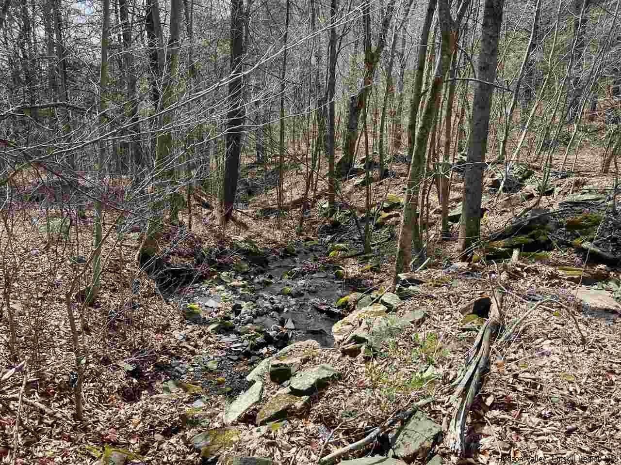 10.55 acres in Ulster County, New York