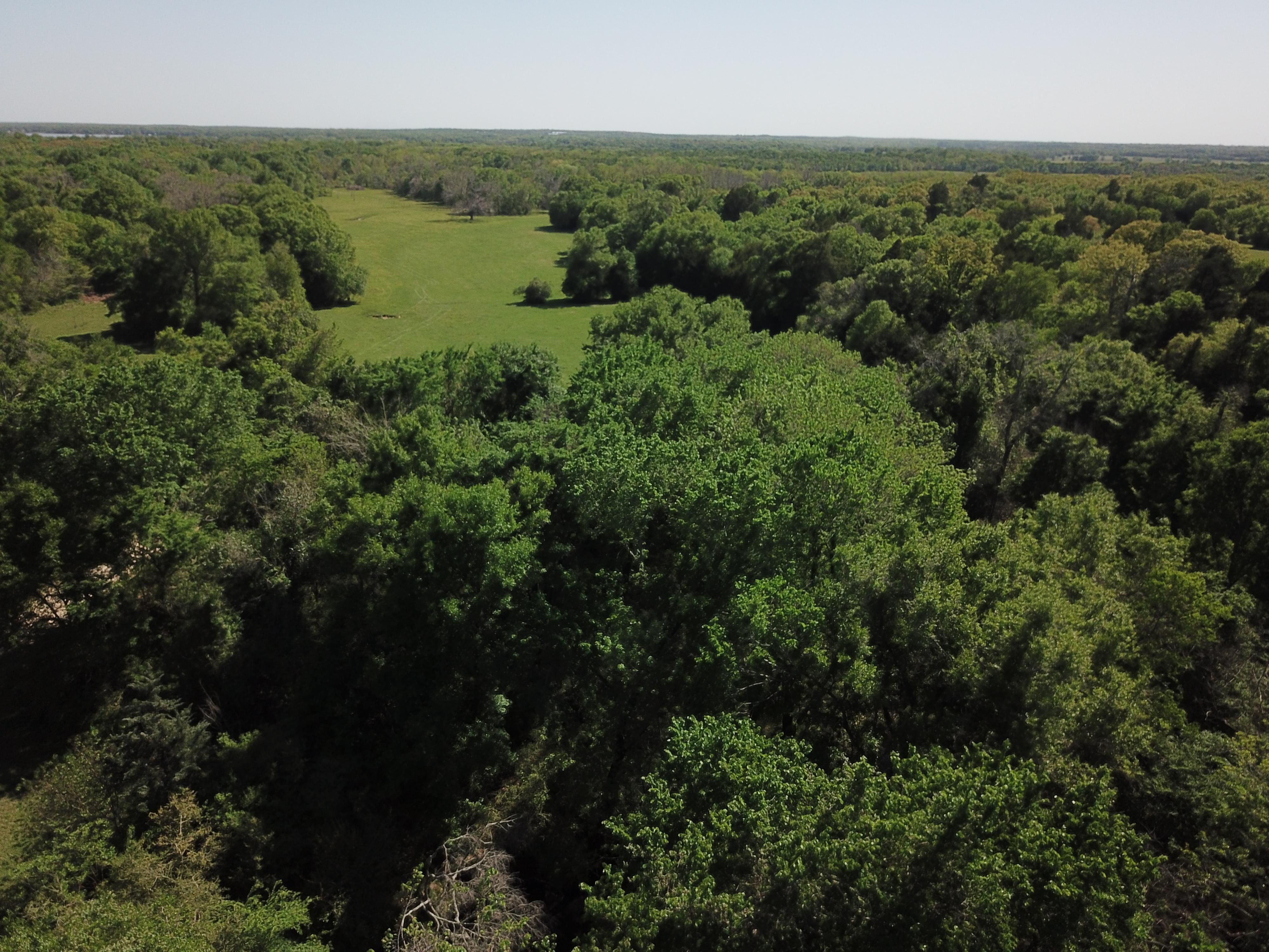 71 acres in Limestone County, Texas