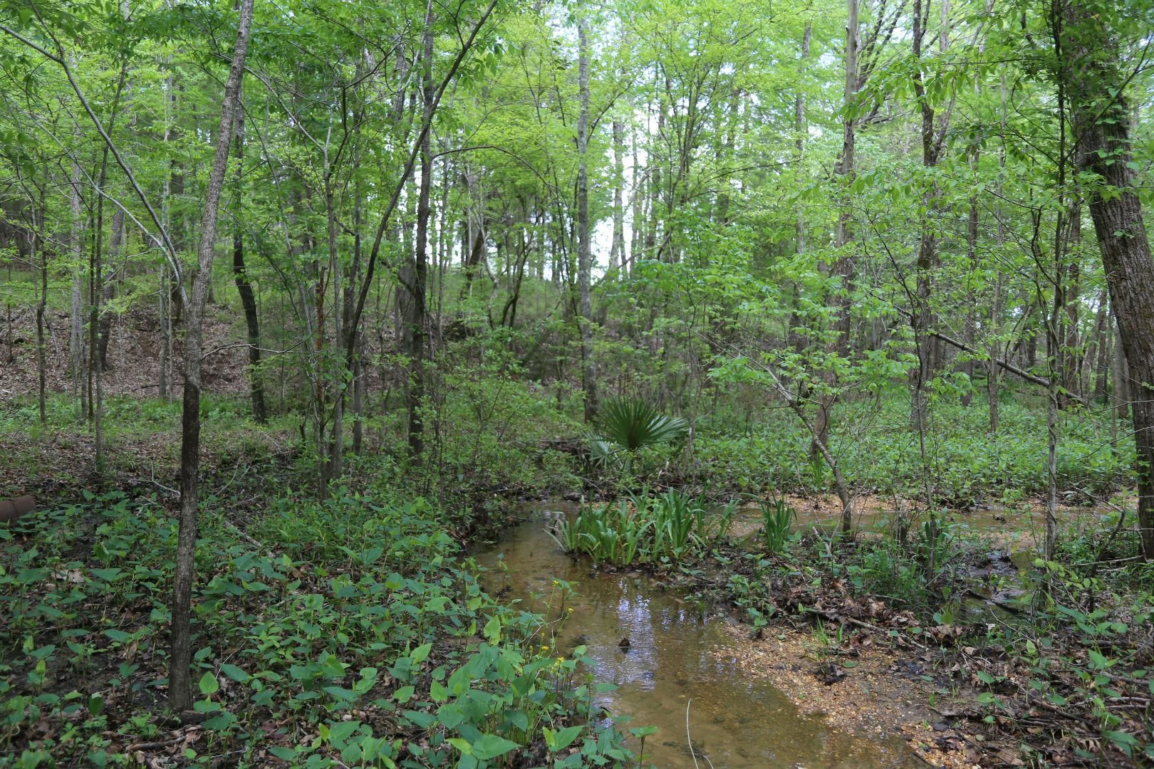 2 acres in Wilcox County, Alabama