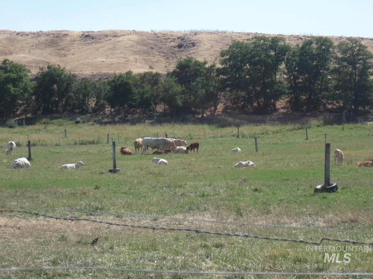 80 acres in Malheur County, Oregon
