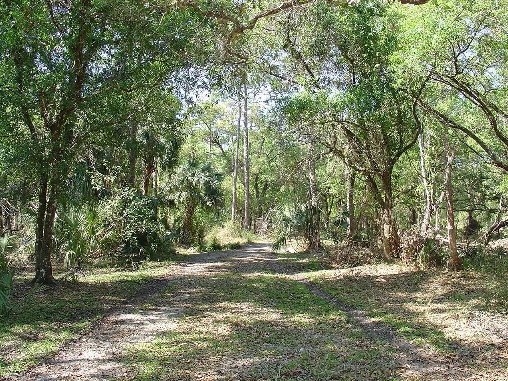 43.32 acres in Glades County, Florida