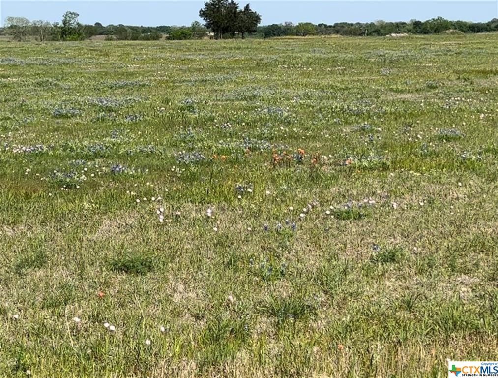 10 acres in Lavaca County, Texas