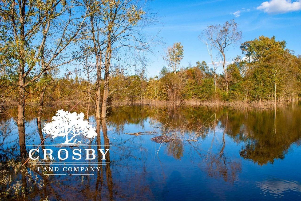 334 acres in Florence County, South Carolina