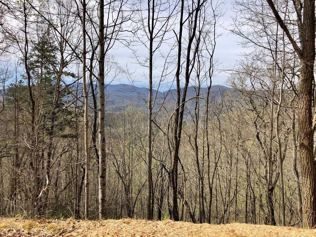 4.24 acres in Swain County, North Carolina