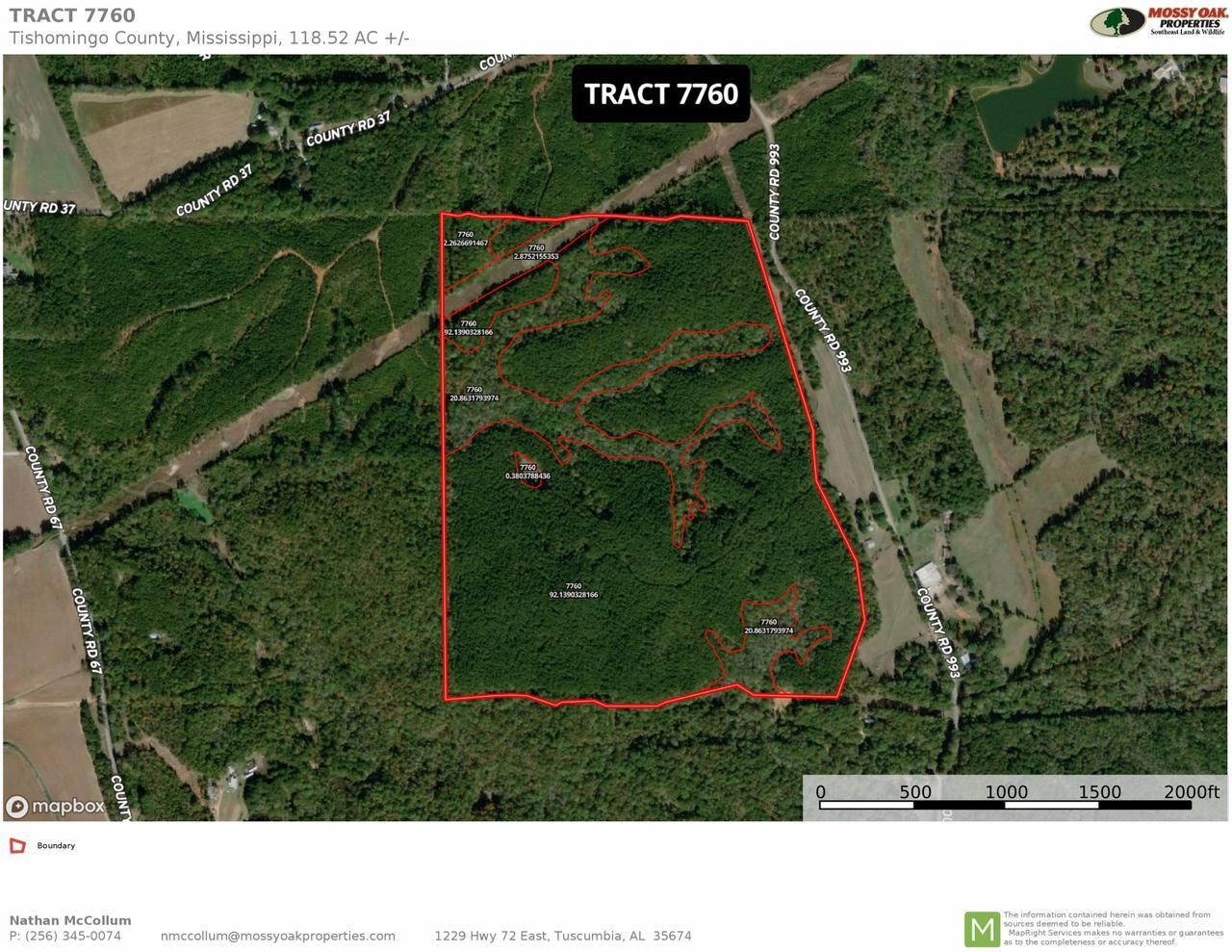 118.52 acres in Tishomingo County, Mississippi