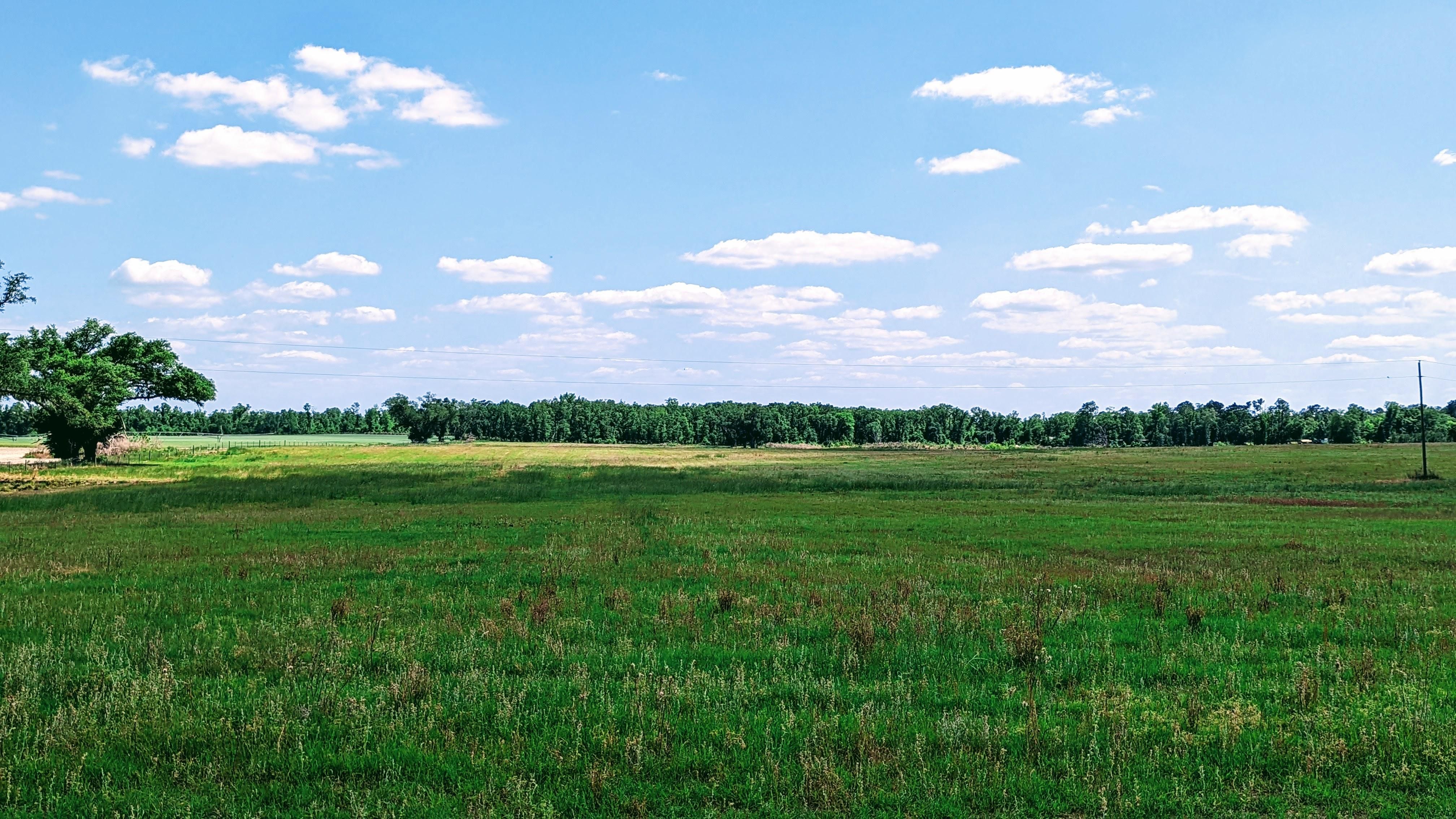 100 acres in Jackson County, Florida