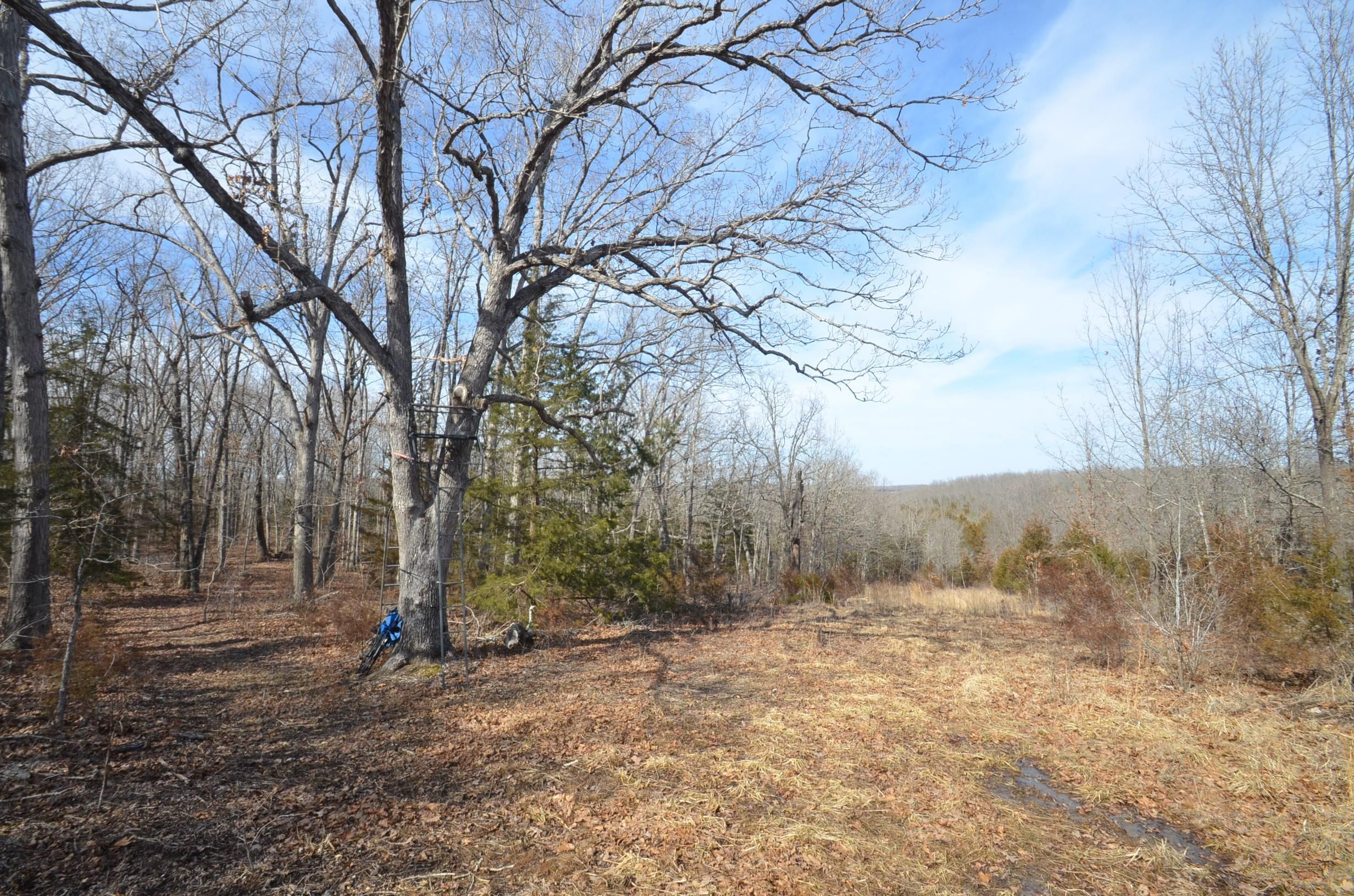 80 acres in Laclede County, Missouri