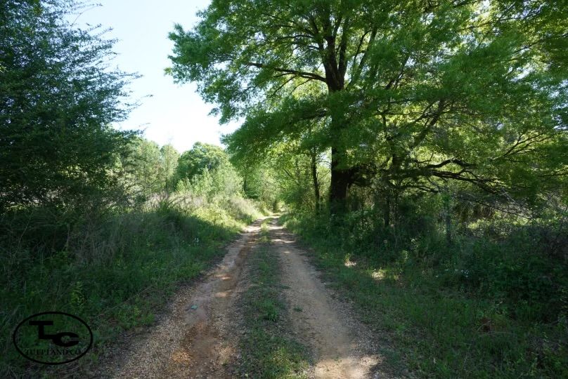 40 acres in Hale County, Alabama