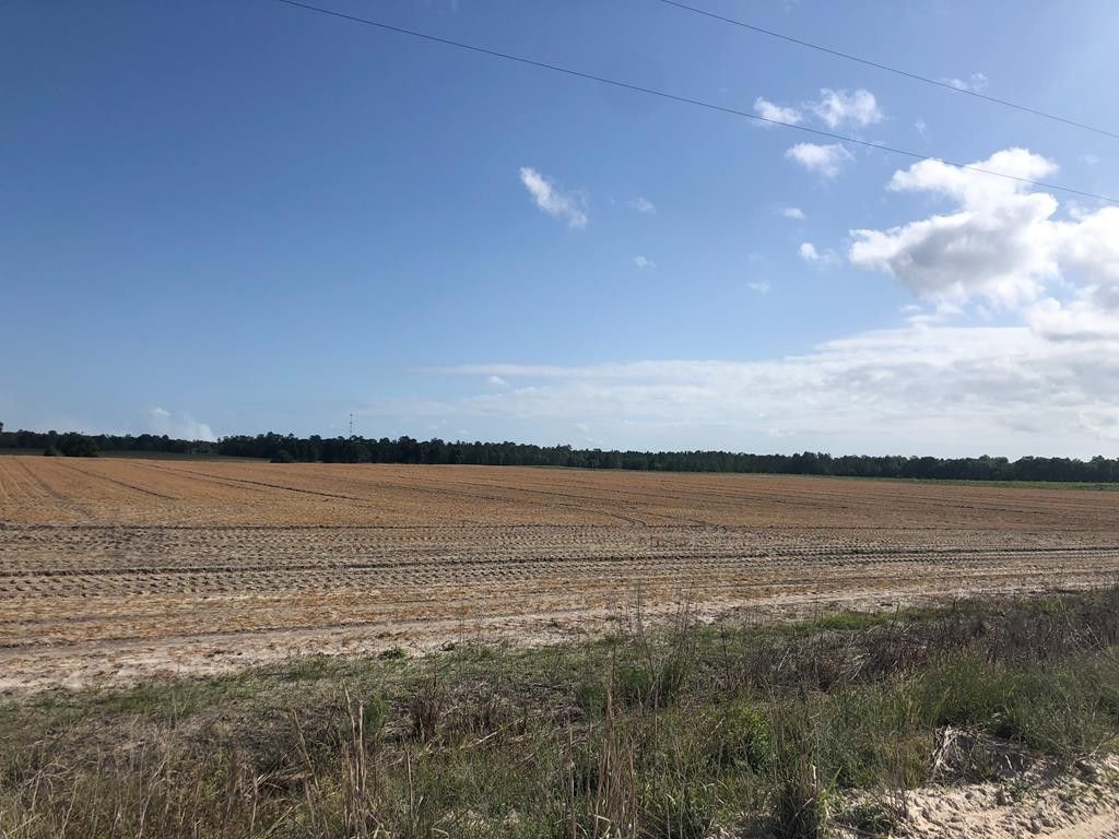 20 acres in Gilchrist County, Florida