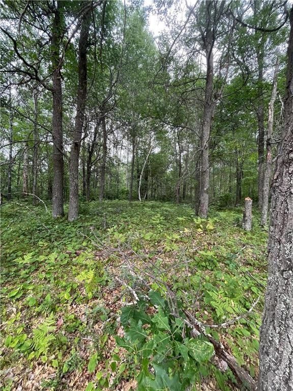 0.59 acres in Crow Wing County, Minnesota
