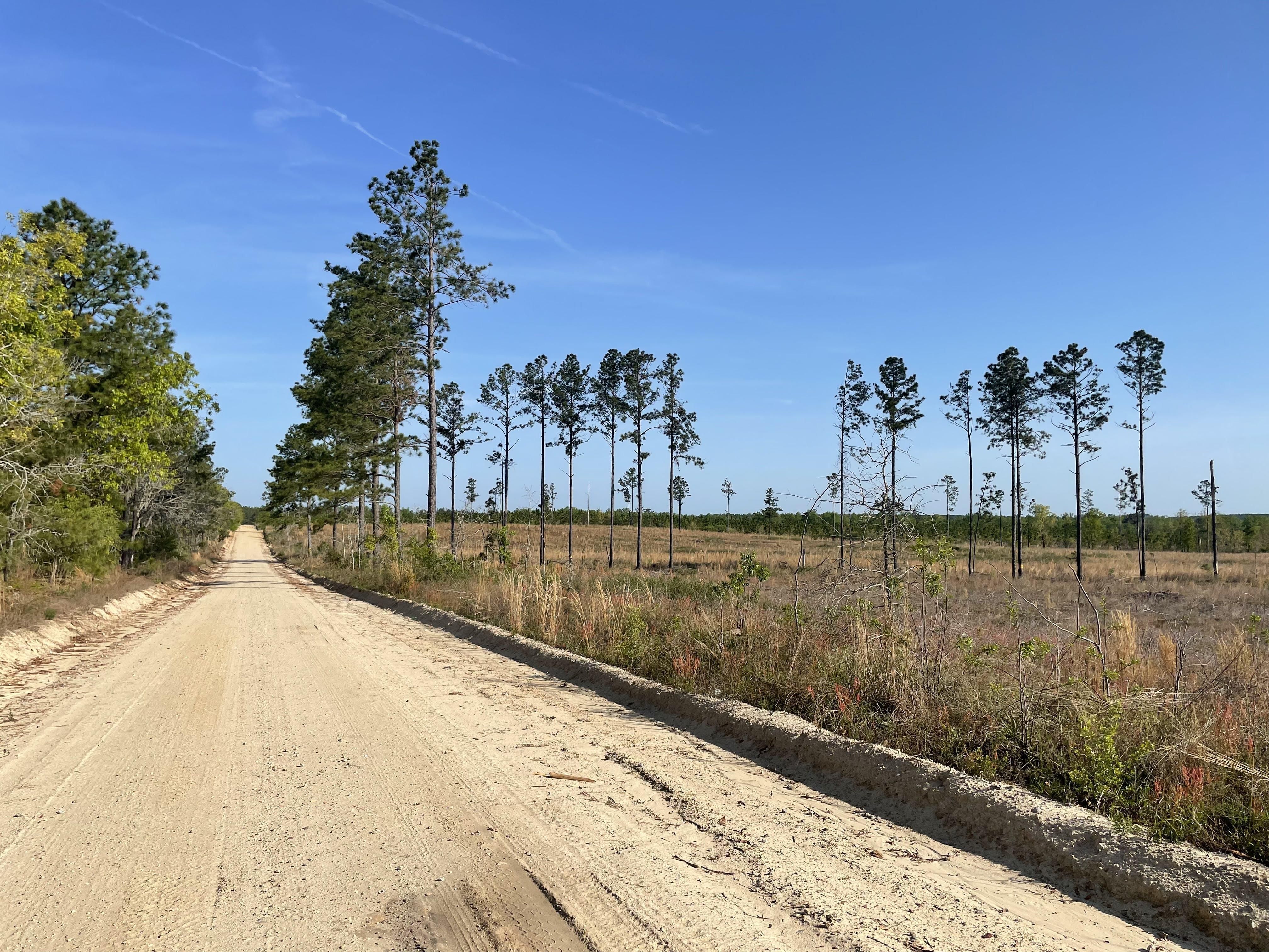 67 acres in Kershaw County, South Carolina