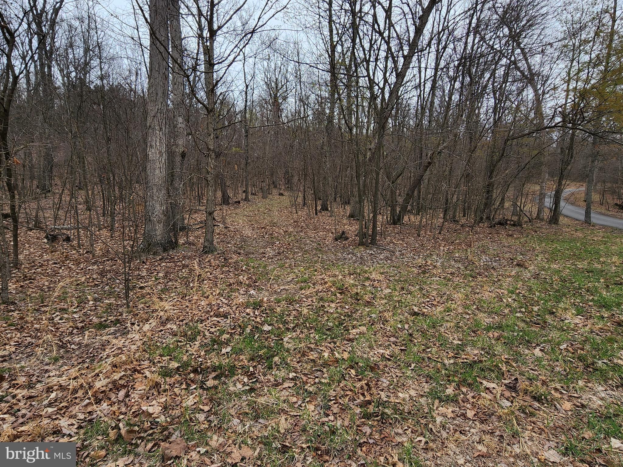 5 acres in Frederick County, Virginia