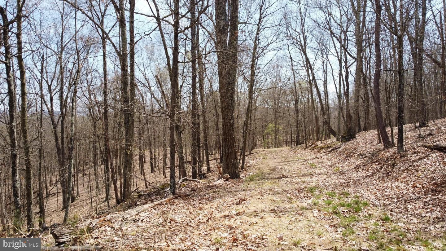 6.37 acres in Mineral County, West Virginia