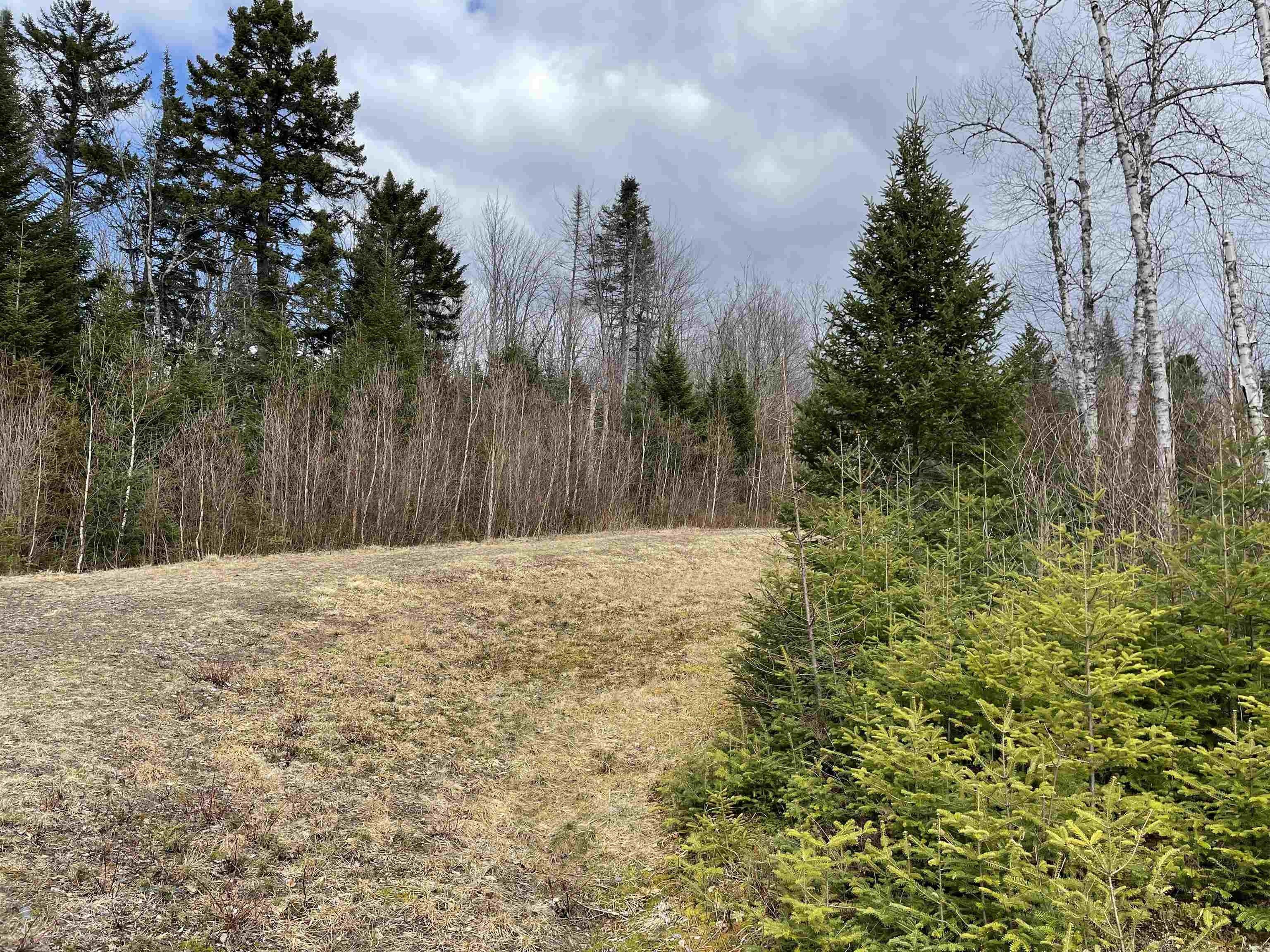 10.7 acres in Coos County, New Hampshire