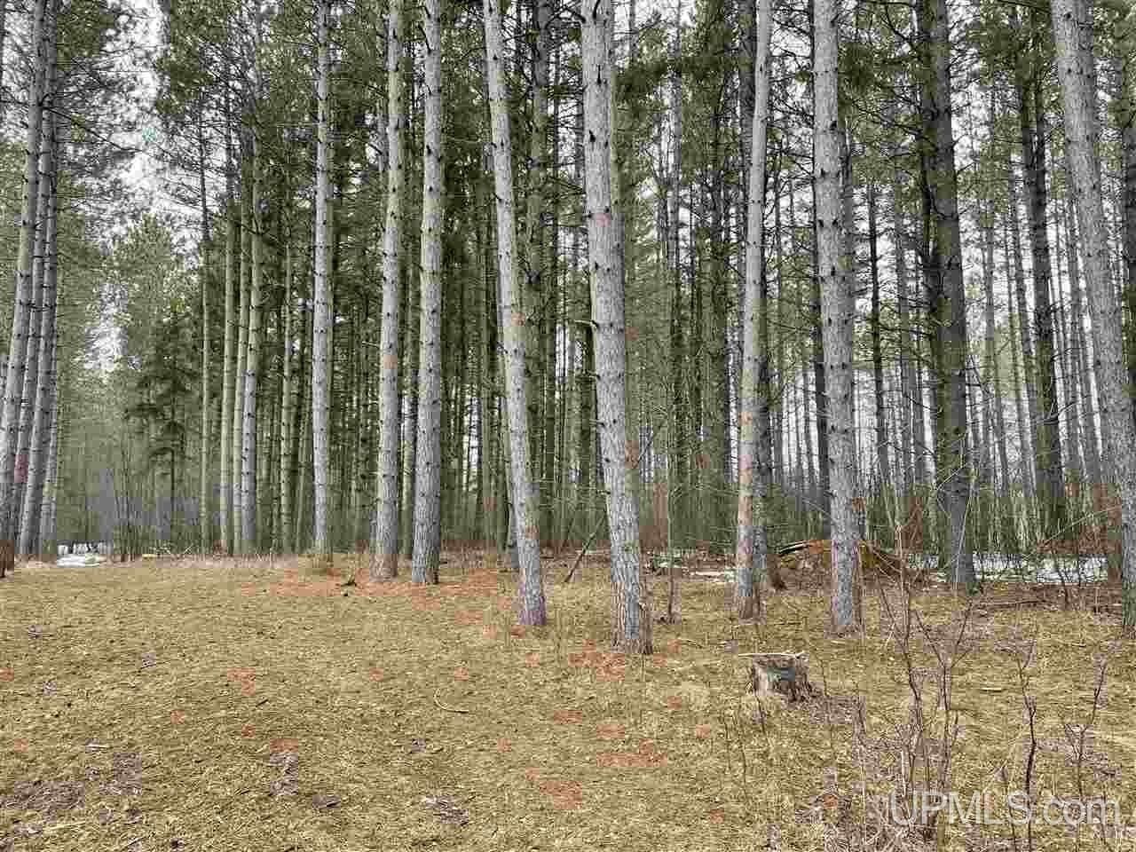 40 acres in Gogebic County, Michigan