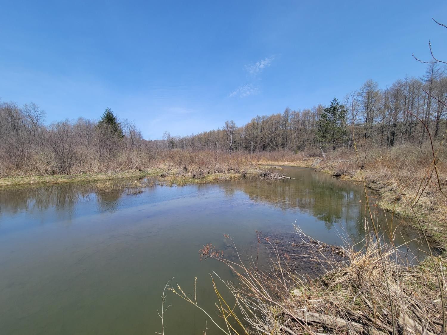 70 acres in Chenango County, New York