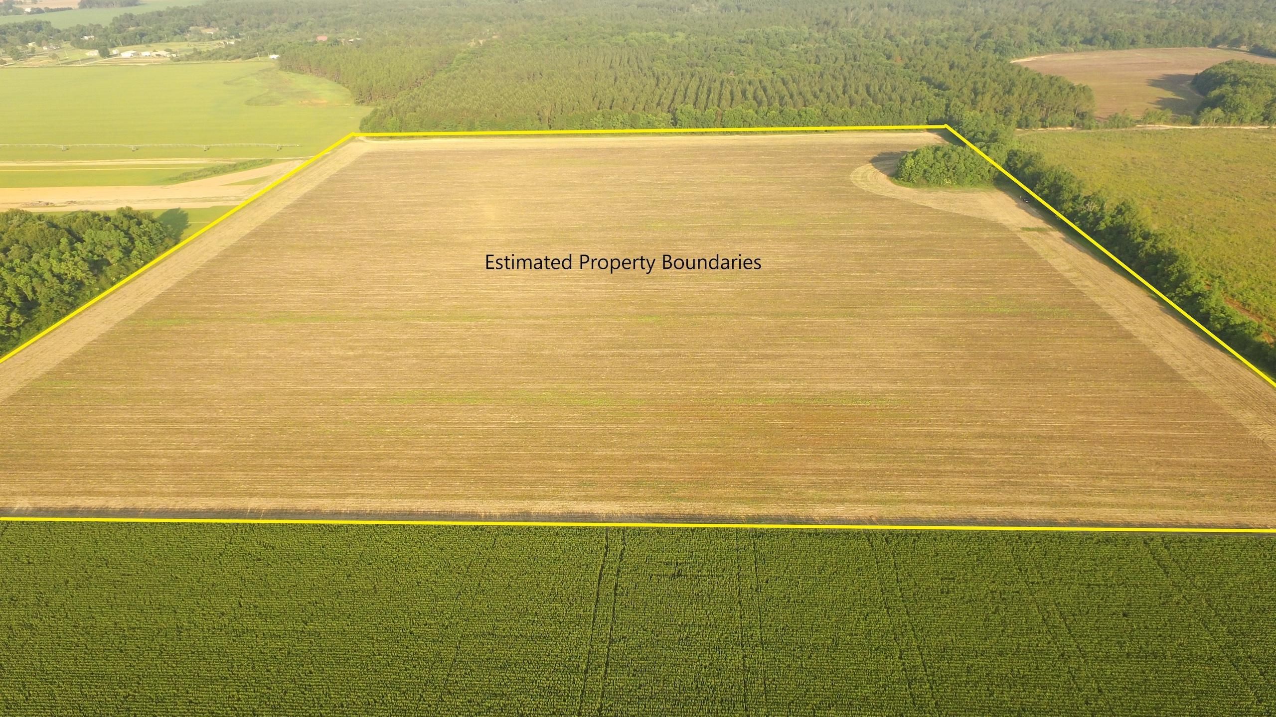 41 acres in Baldwin County, Alabama