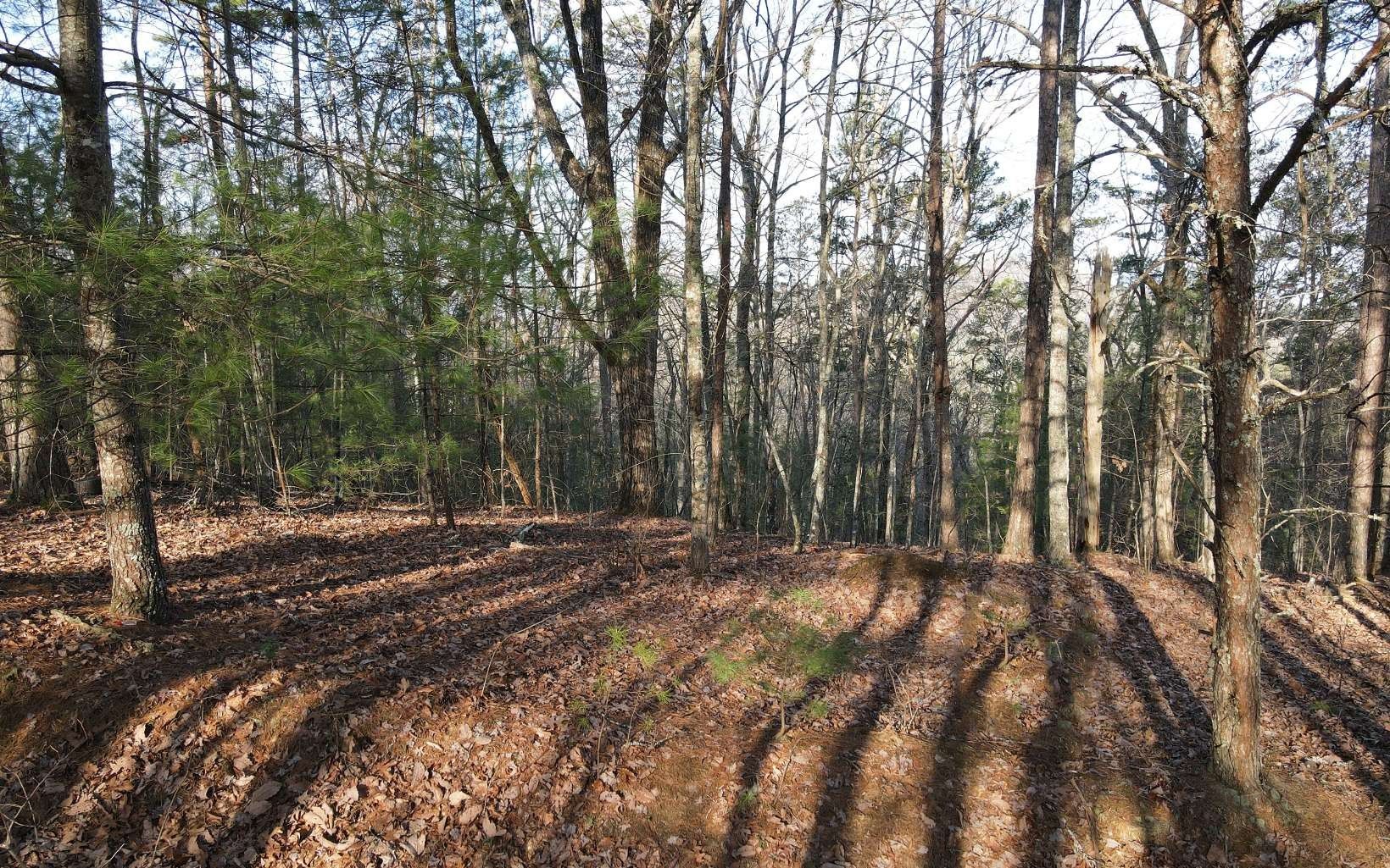 3 acres in Fannin County,