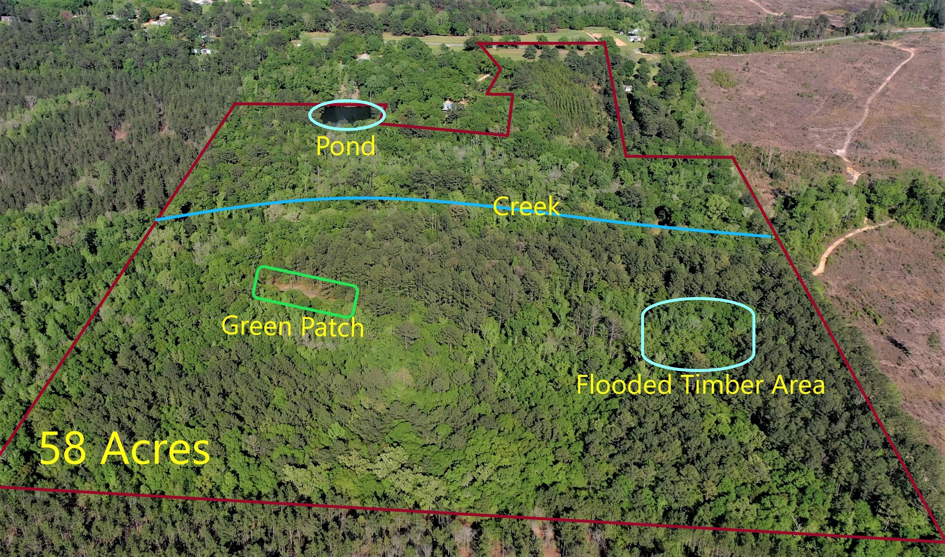 58 acres in Barbour County, Alabama