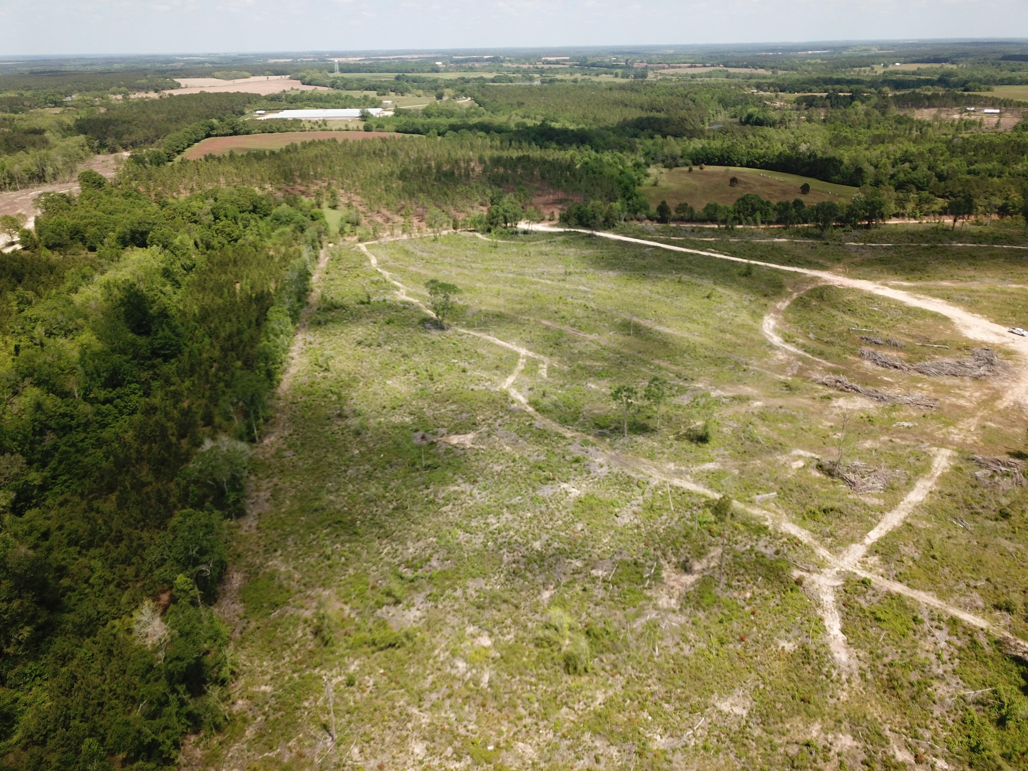 39 acres in Coffee County, Alabama