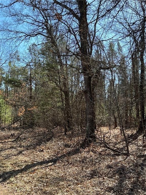 10 acres in Eau Claire County, Wisconsin