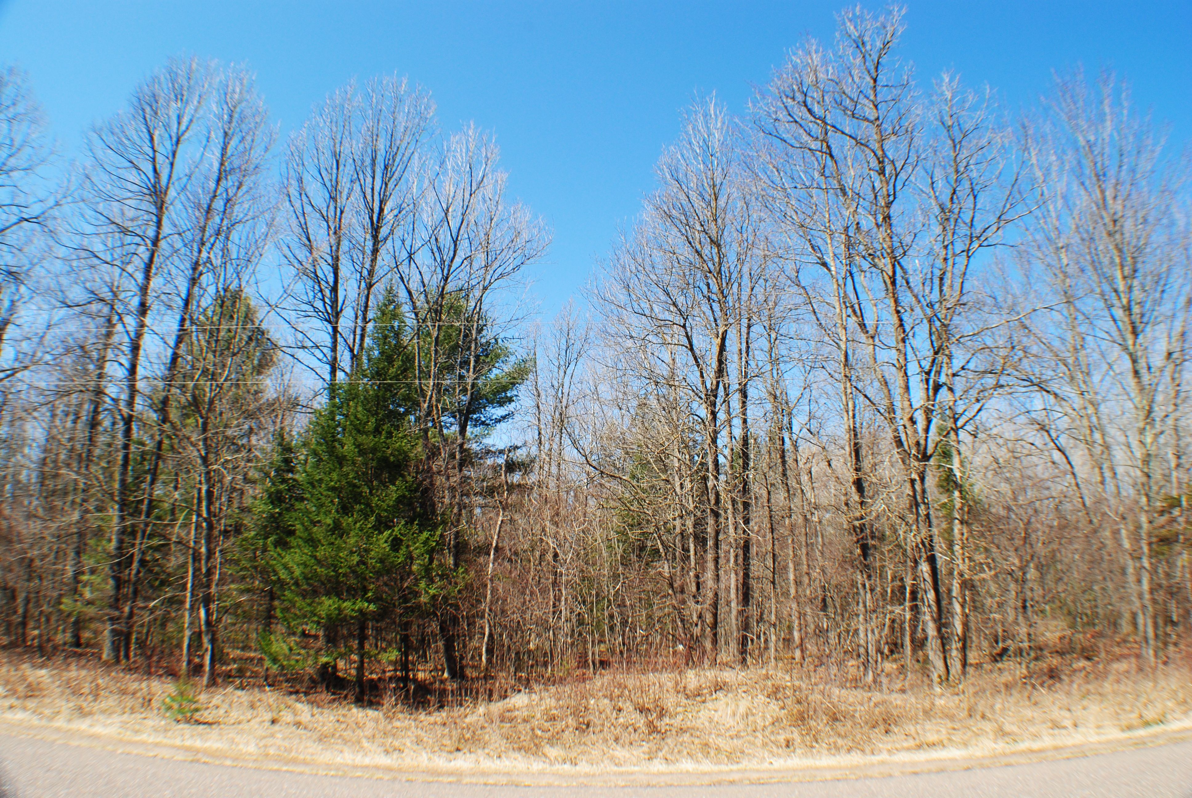 0000 N Irish Rd, Exeland, WI 54835 MLS 1563513