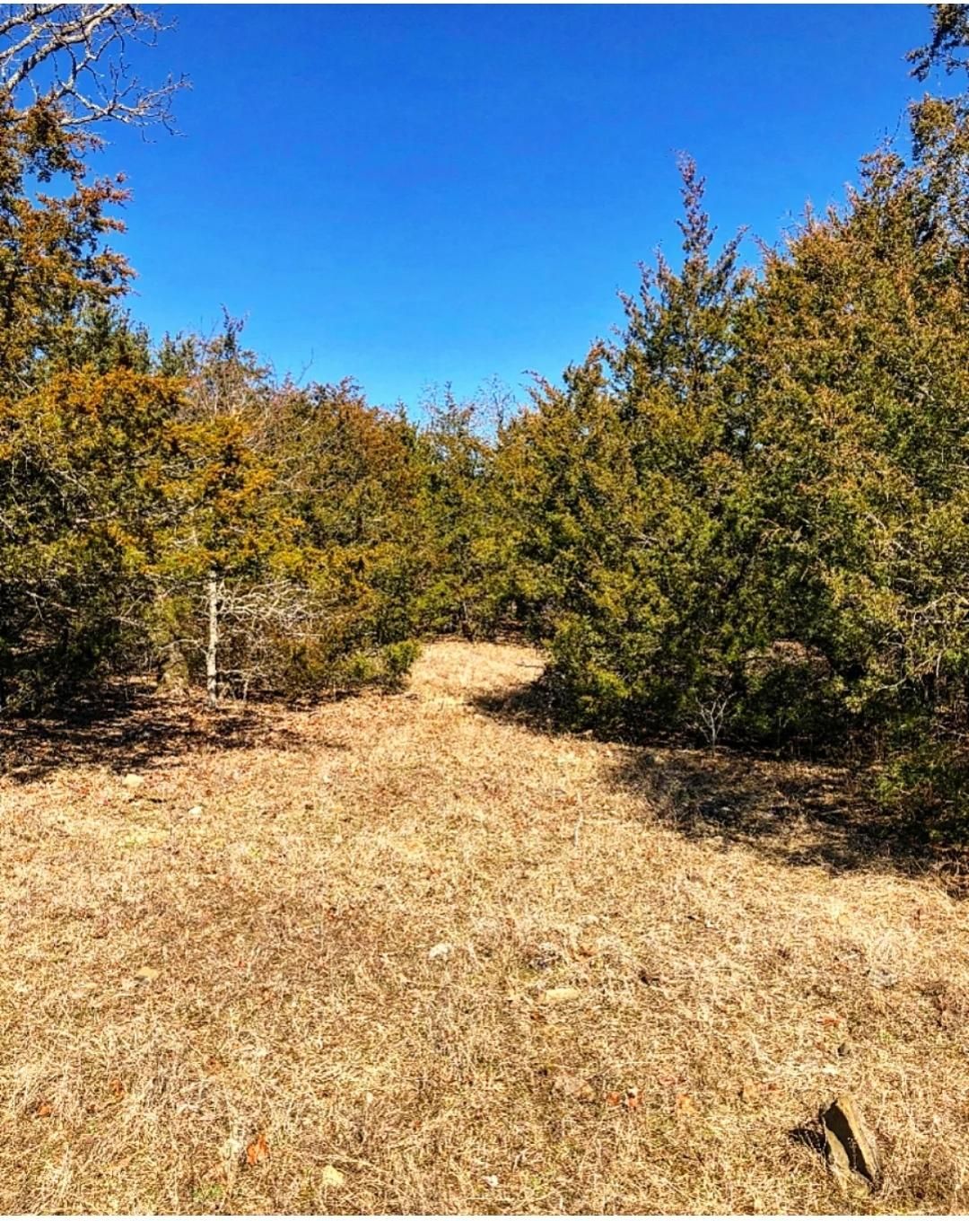 8 acres in Pushmataha County, Oklahoma