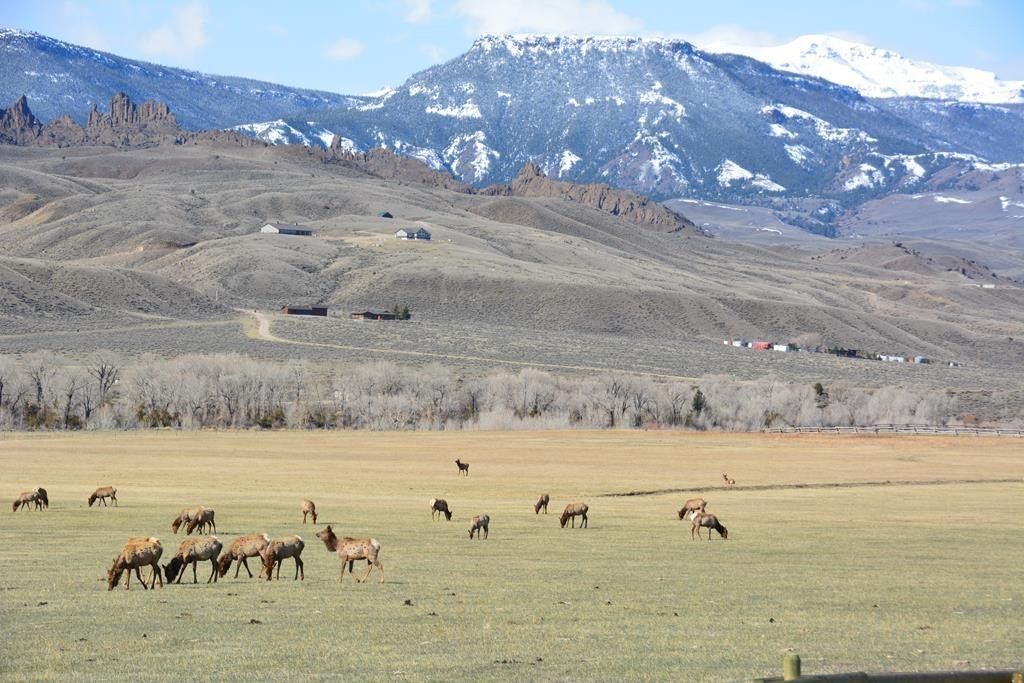 5 acres in Park County, Wyoming