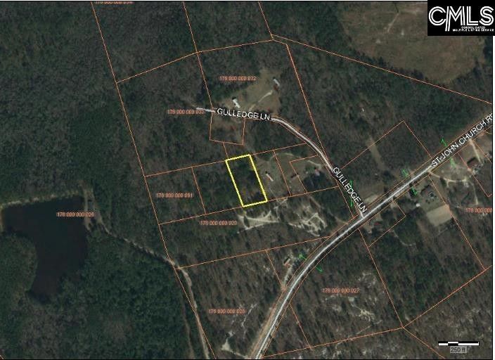 0 Gulledge, Patrick, SC 29584 MLS 539589