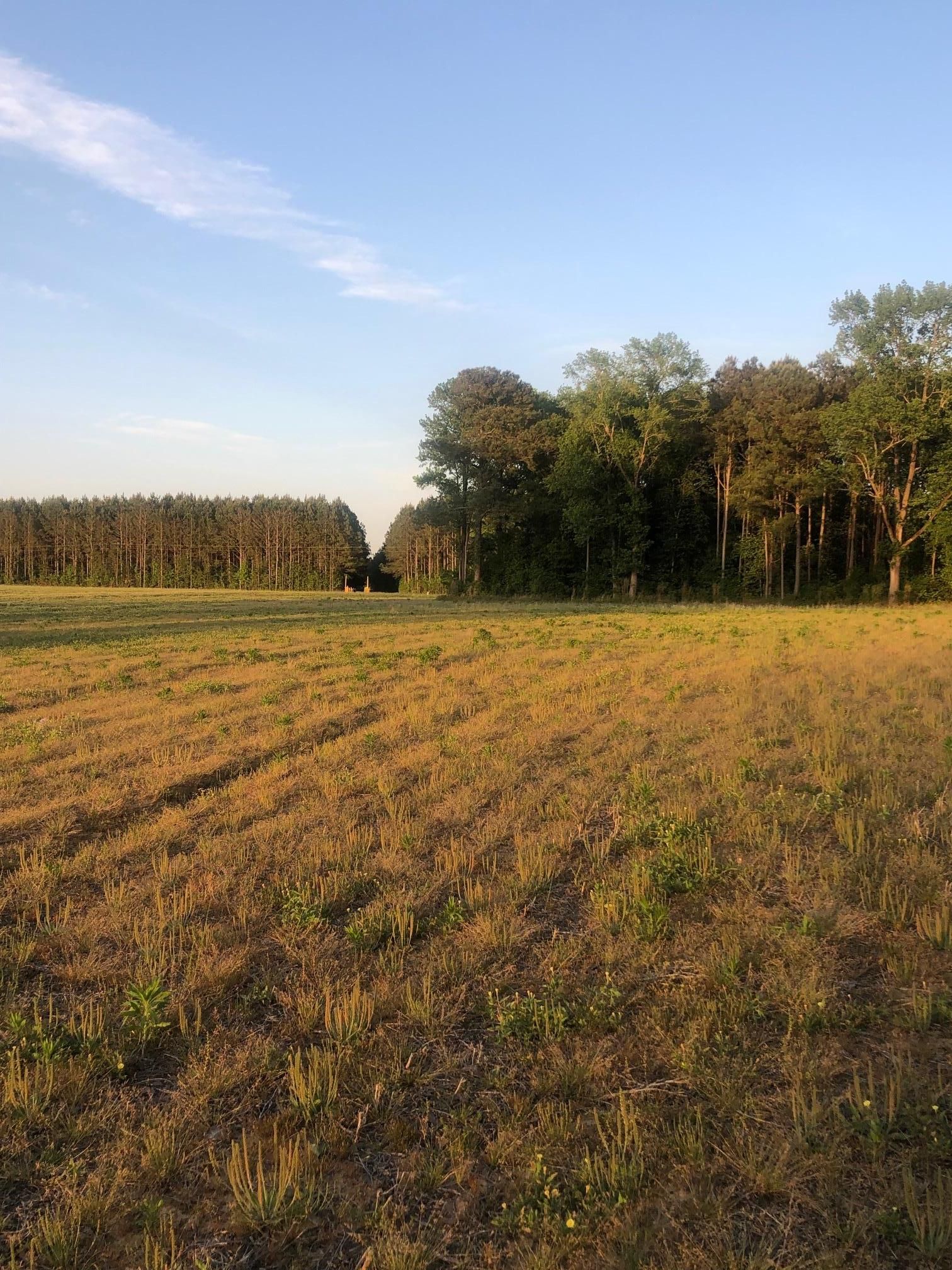 Fire Tower Rd, Walstonburg, NC 27888