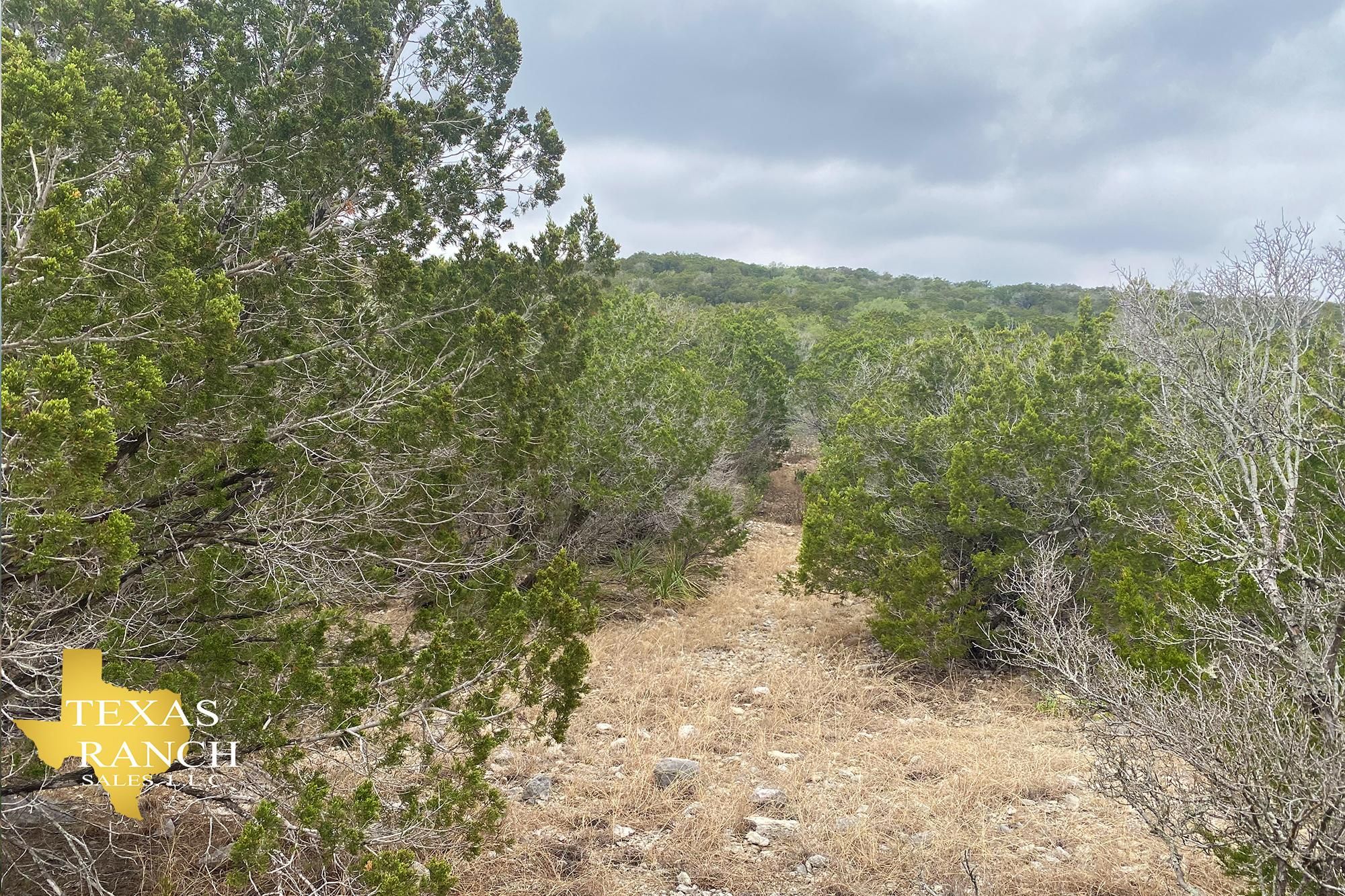 29 acres in Kinney County, Texas