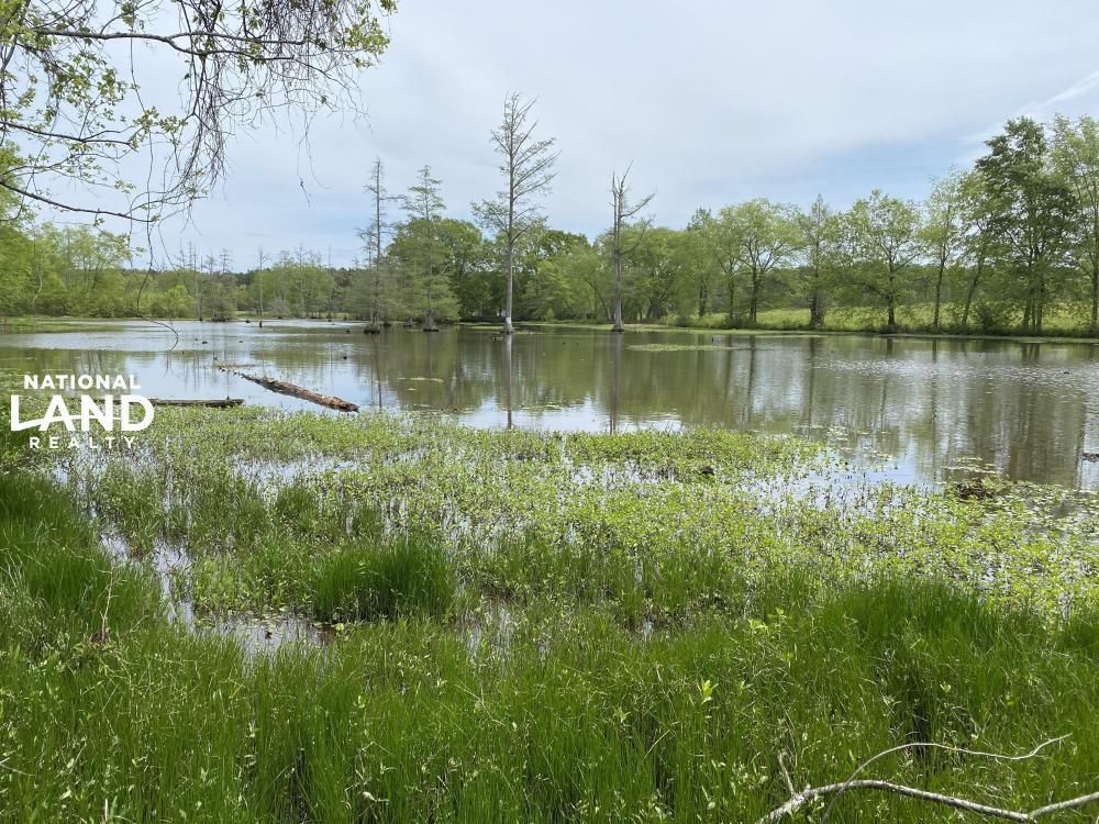 21 acres in Monroe County, Mississippi