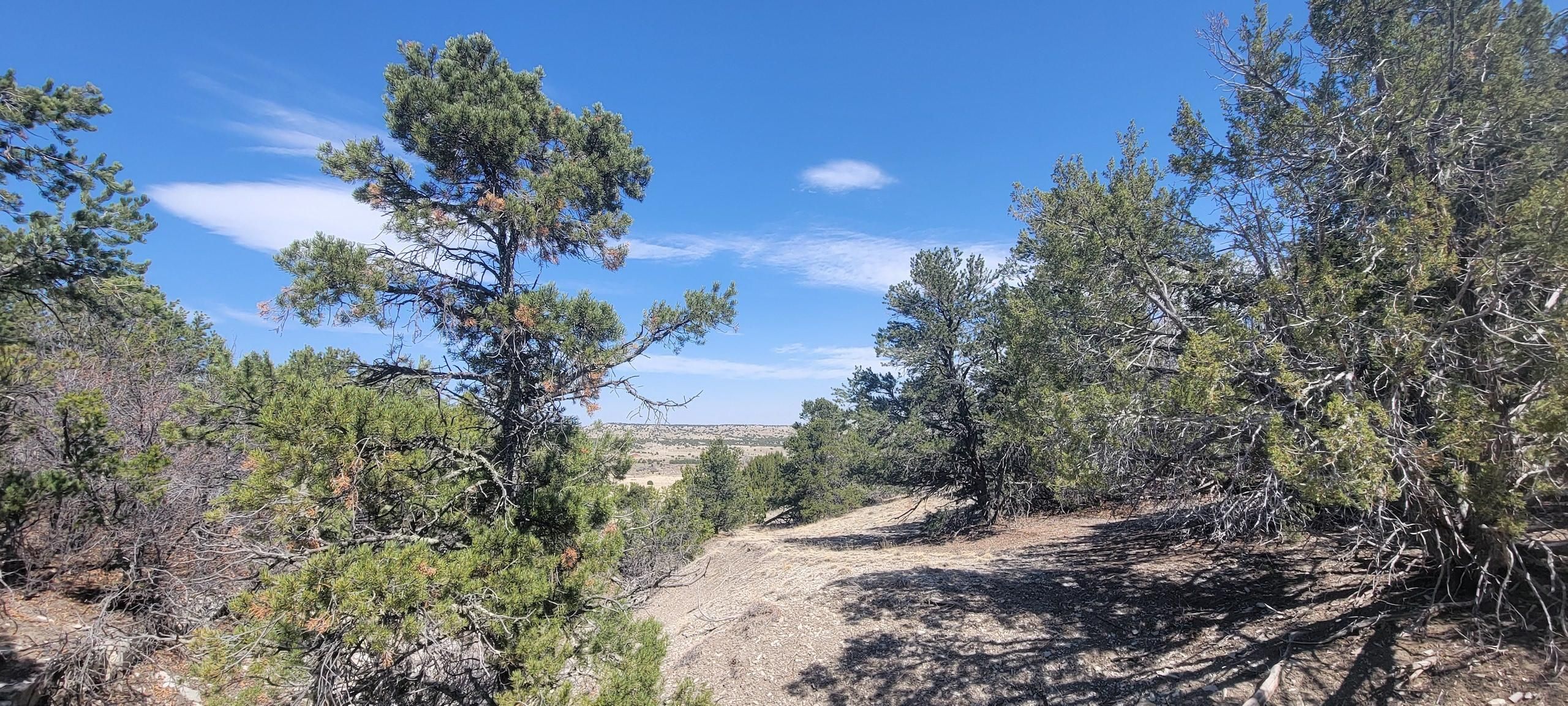 JMKVH40, Pueblo, CO 81004