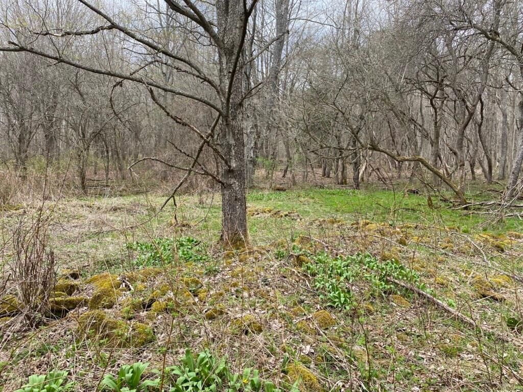 3.4 acres in Allegany County, New York