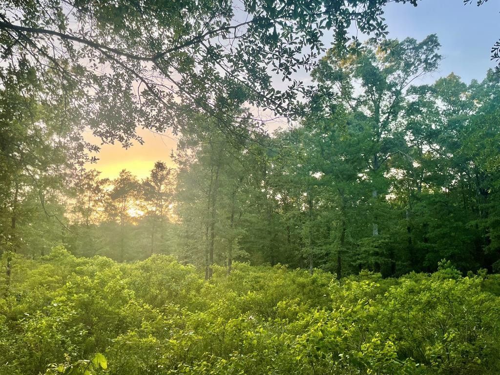 3.05 acres in Nacogdoches County, Texas