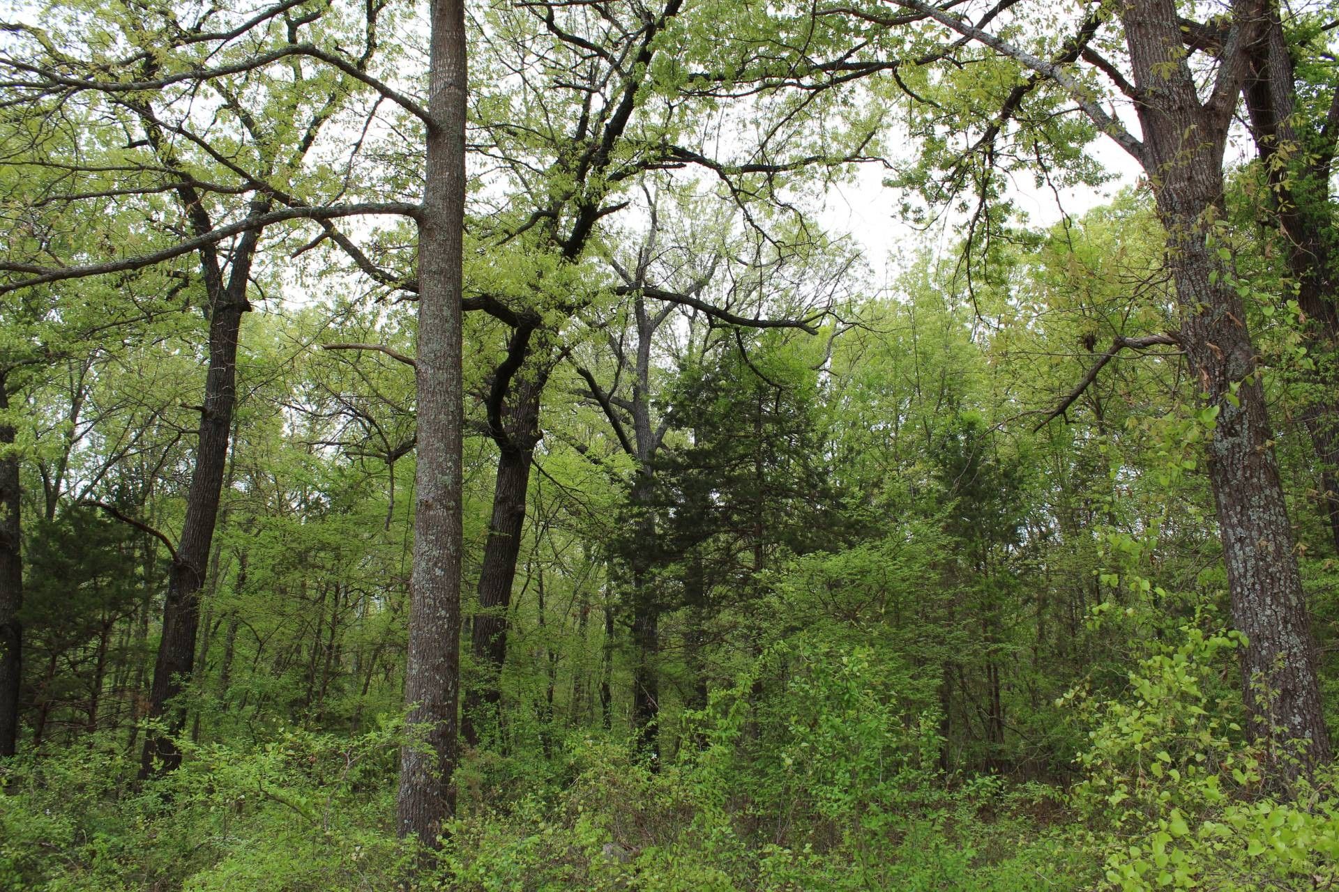 10 acres in Johnston County, Oklahoma