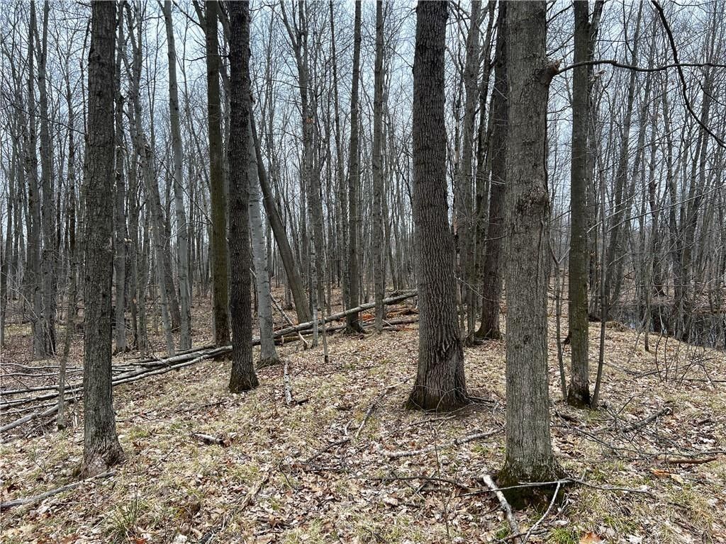 80 acres in Taylor County, Wisconsin