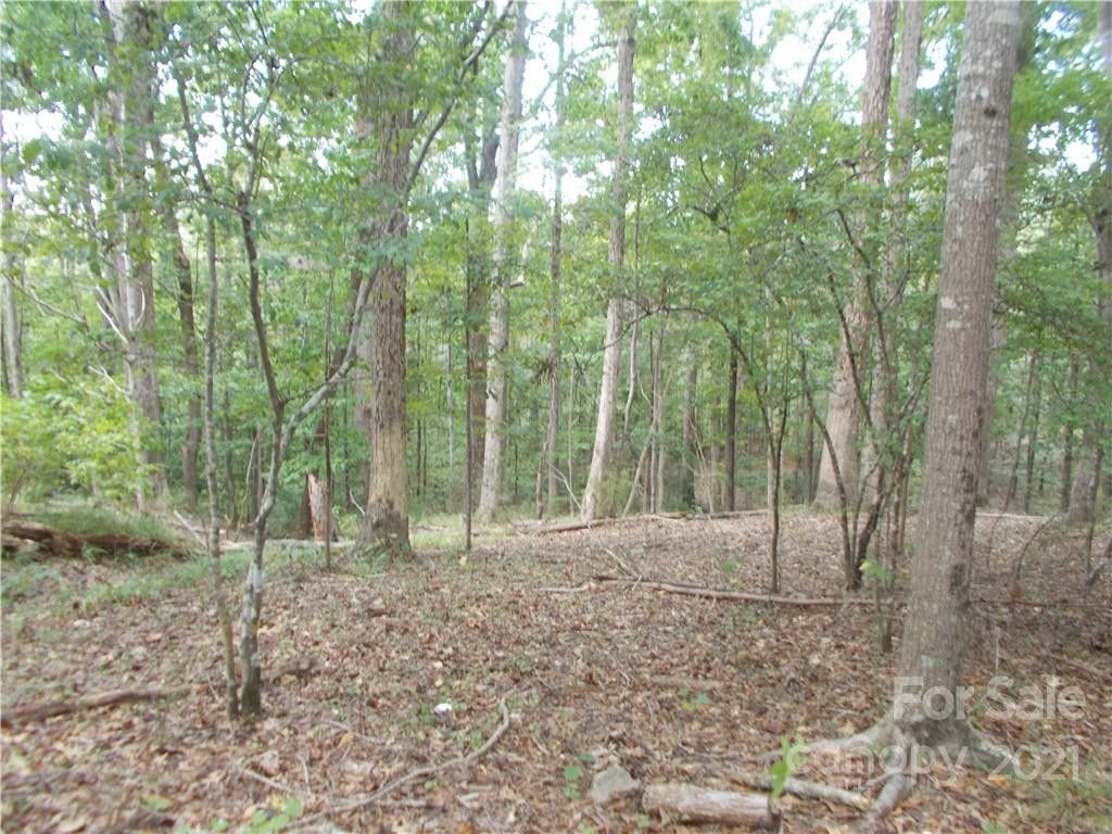 47 acres in Chester County, South Carolina