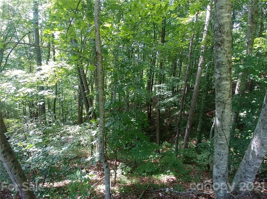 10 acres in Mitchell County, North Carolina