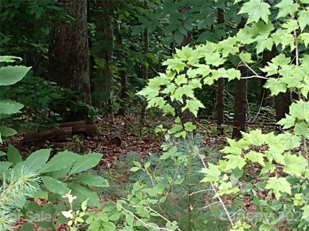 1.48 acres in Yancey County, North Carolina