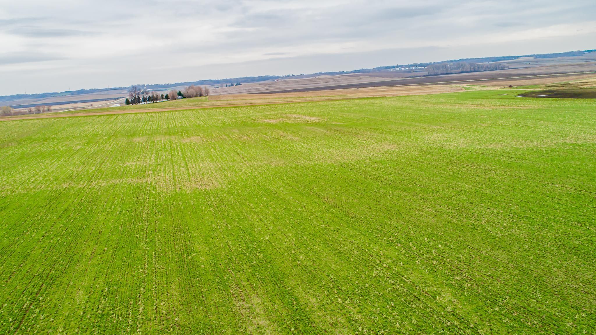 38 acres in Butler County, Iowa