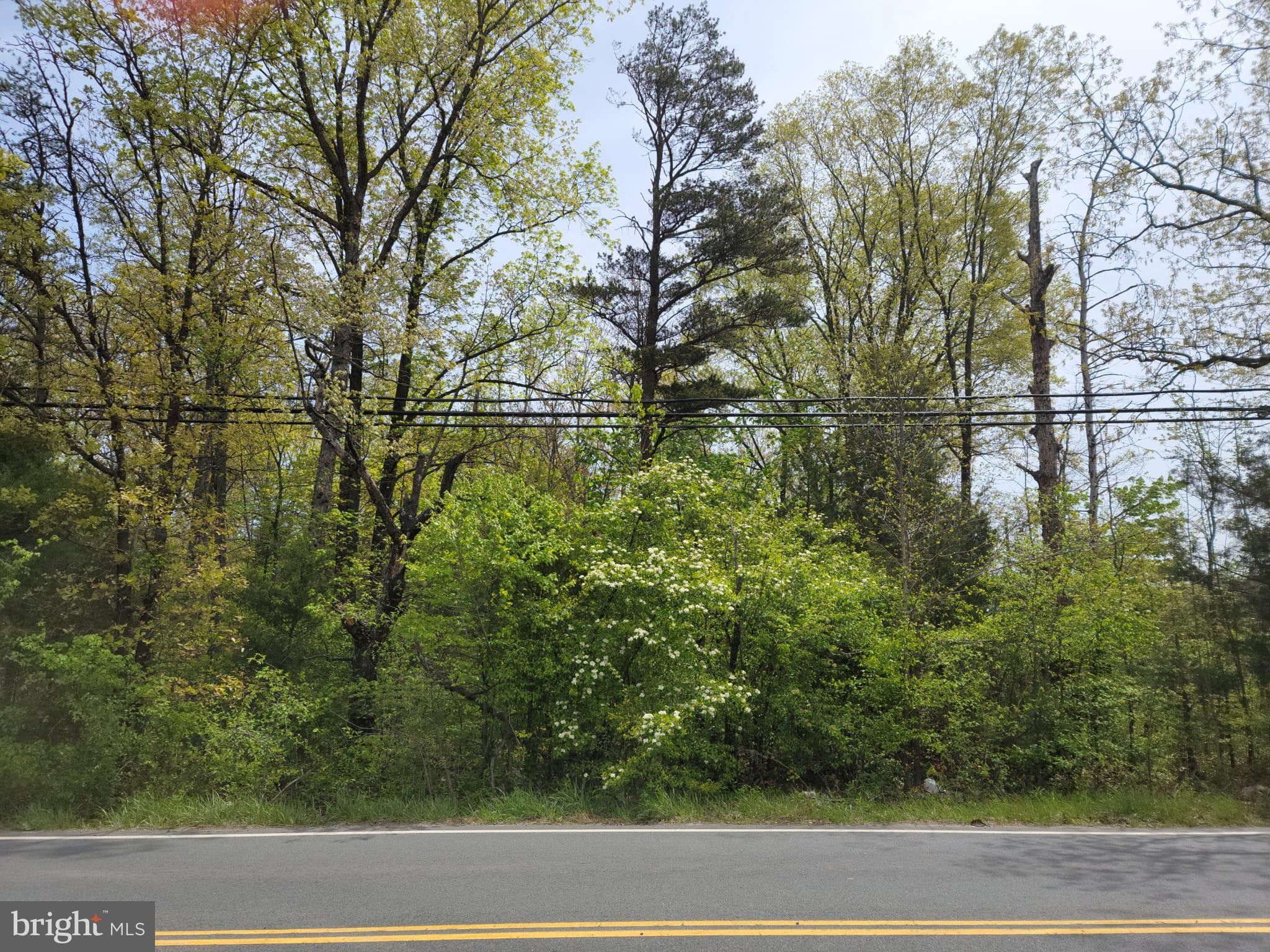 3 acres in Culpeper County, Virginia