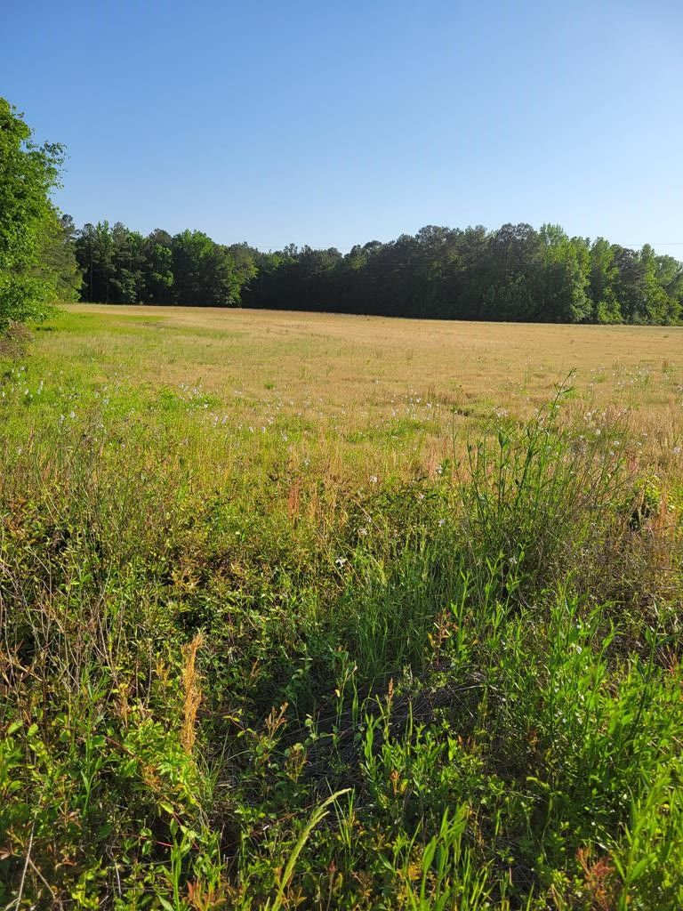 3 acres in Sumter County, South Carolina