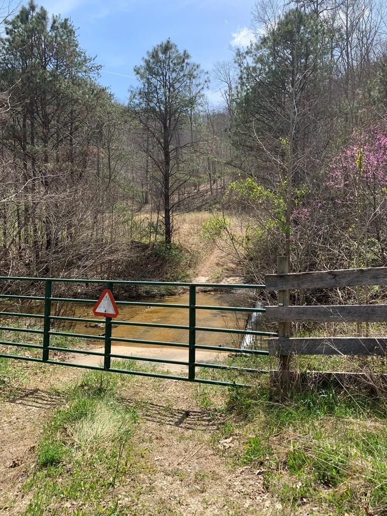 82 acres in Lewis County, Kentucky