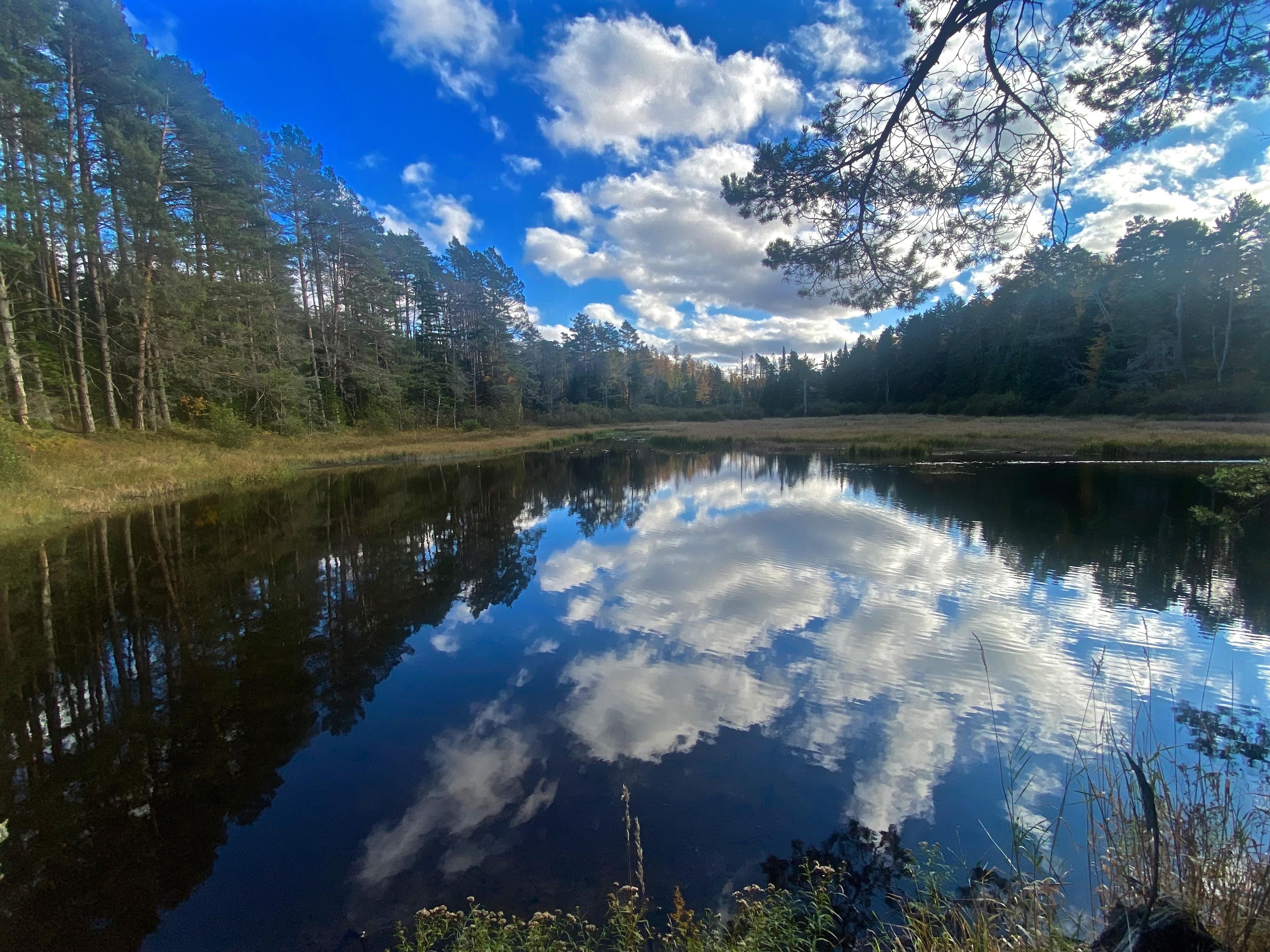 126 acres in Franklin County, New York