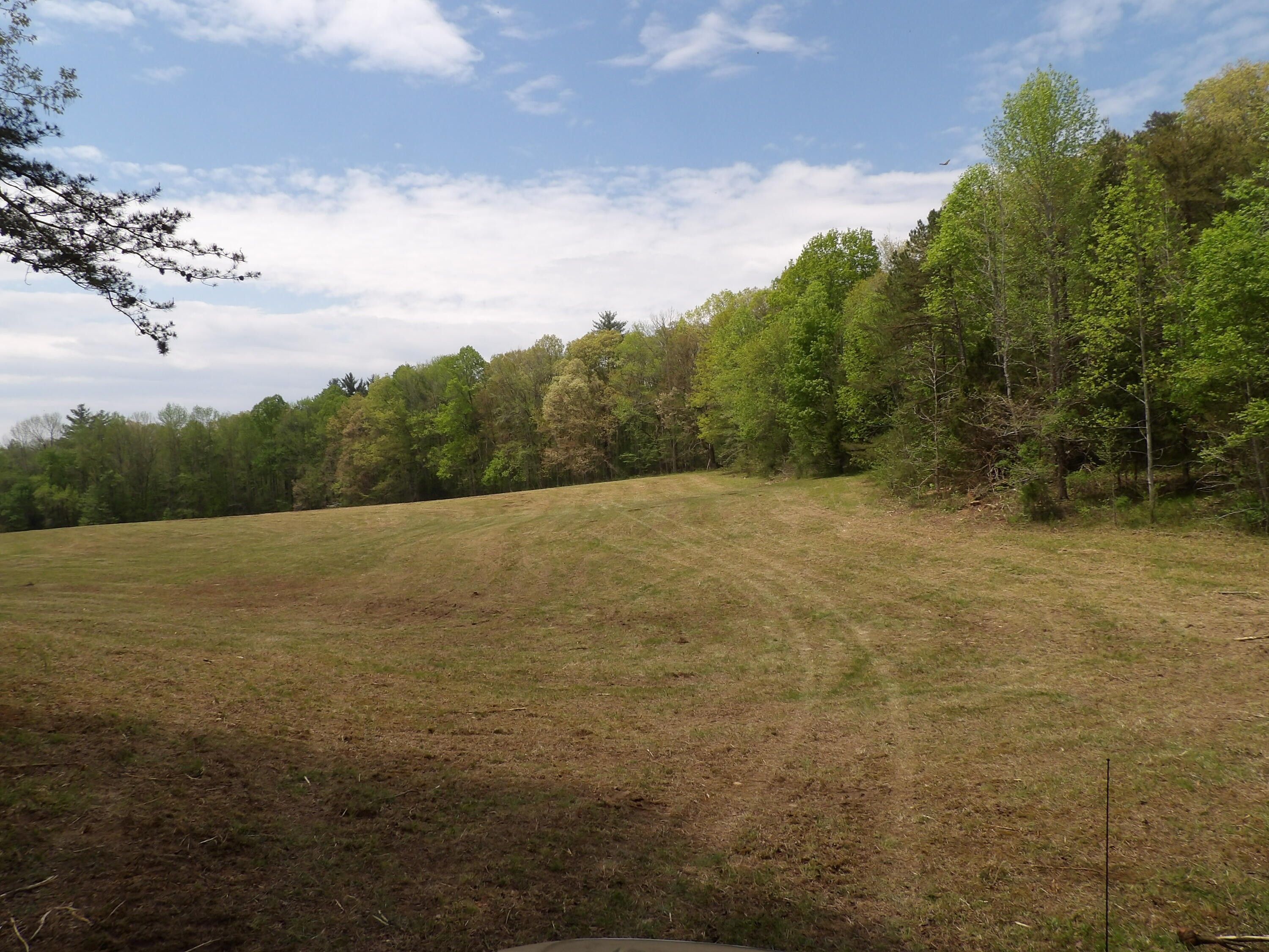100 acres in Cumberland County, Tennessee