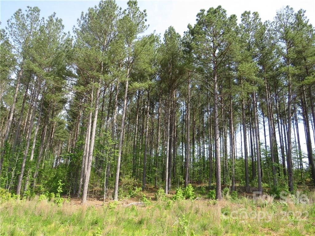 42.6 acres in Rutherford County, North Carolina