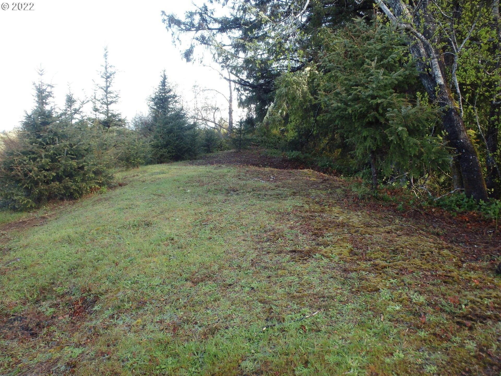 3 acres in Pacific County, Washington