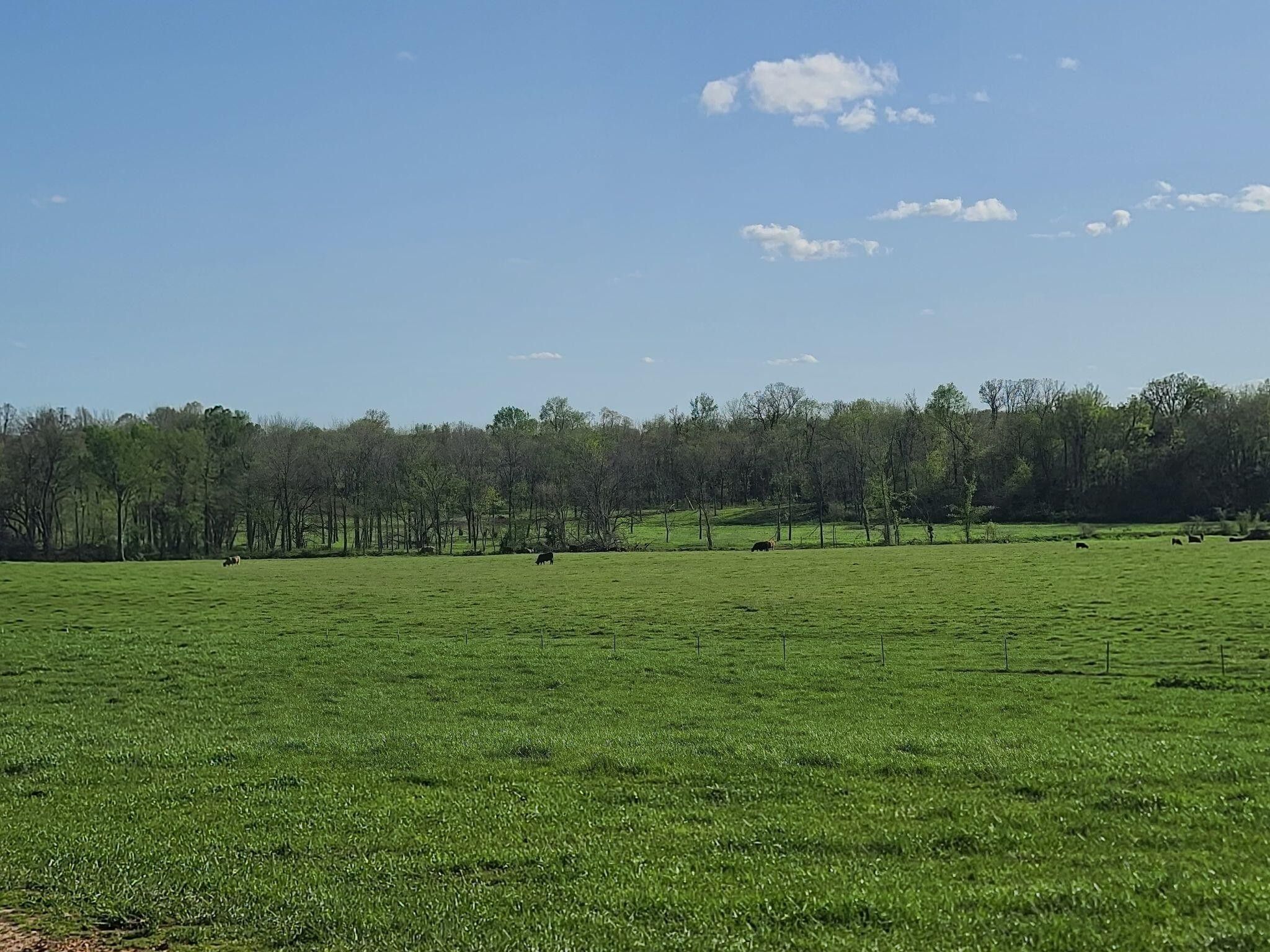 10 acres in Stone County, Missouri